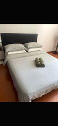 Blk 236 Serangoon Avenue 3 (Serangoon), HDB 4 Rooms #542684511